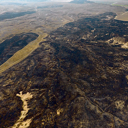 Выжженная долина Беэри