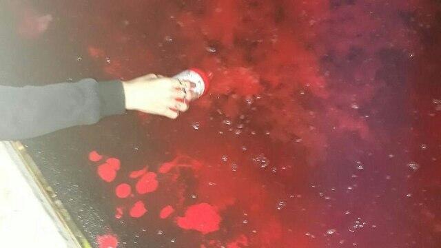 Фото: активистки ЛОТАМ