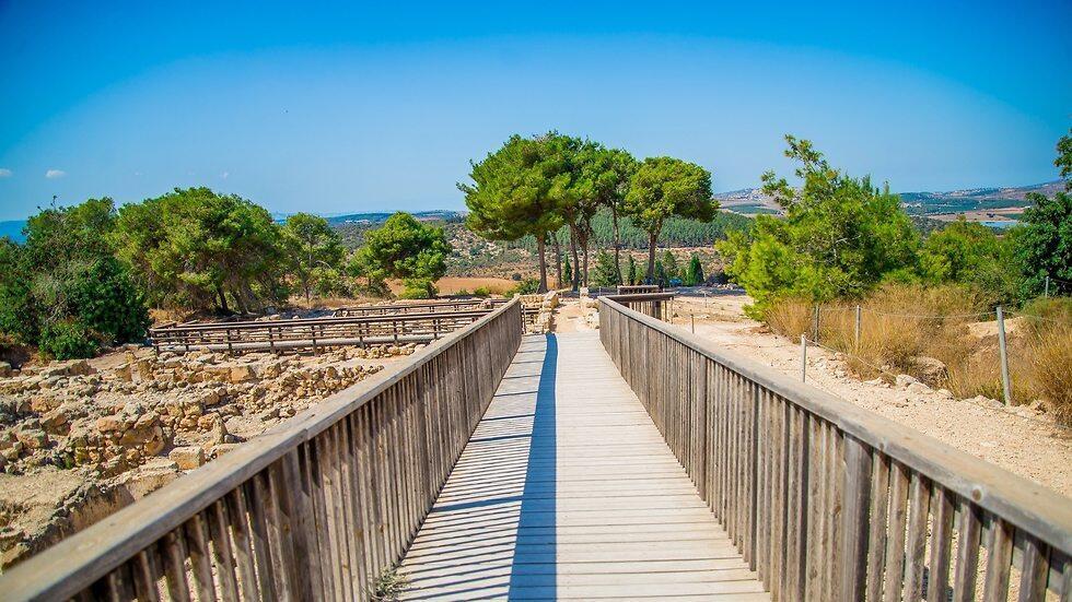 Парк Ципори. Фото: Мена Гришпан (צילום: מנו גרינשפן) Парк Ципори. Фото: Мена Гришпан