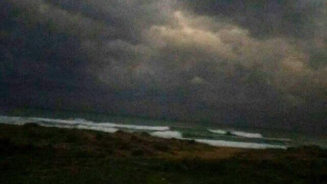 Фото: Зива Хес