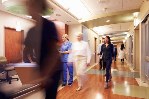 Фото: shutterstock