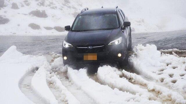 Снег на Хермоне. Фото: Авиягу Шапира (צילום: אביהו שפירא) Снег на Хермоне. Фото: Авиягу Шапира