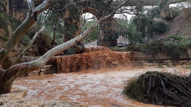 Нахаль Харод районе Нир-Давида. Фото: Зоар Голан (צילום: זהר גלר, דוברות התנועה הקיבוצית) Нахаль Харод районе Нир-Давида. Фото: Зоар Голан