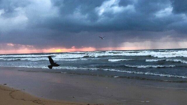Фото: Шмуэль Давид (צילום: שמואל דוד) Фото: Шмуэль Давид