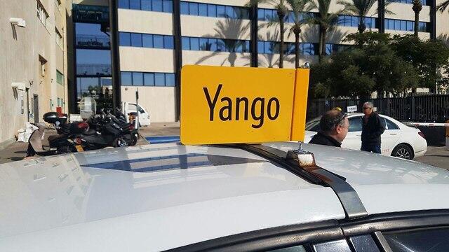 Yаngo. Фото: Мейрав Кристал (צילום: מירב קריסטל) Yаngo. Фото: Мейрав Кристал