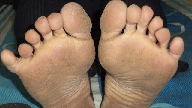 Фотоиллюстрация: shutterstock (צילום: shutterstock) Фотоиллюстрация: shutterstock