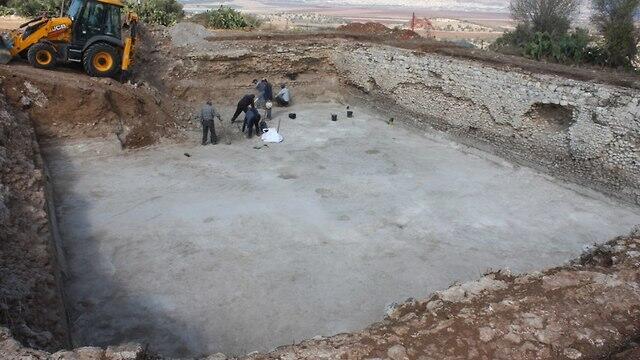 Бассейн. Фото: Цвика Цук (צילום: ד"ר צביקה צוק, רשות הטבע והגנים) Бассейн. Фото: Цвика Цук