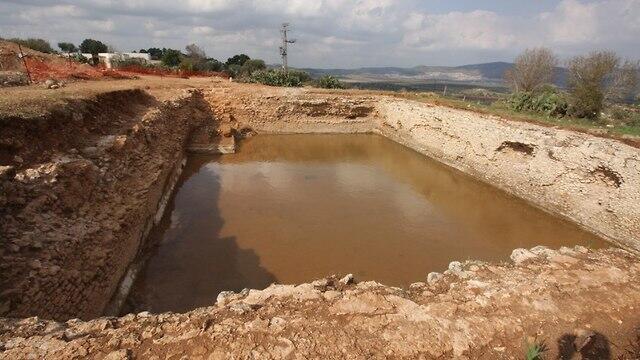 Бассейн. Фото: Цвика Цук (צילום: ד"ר צביקה צוק, רשות הטבע והגנים) Бассейн. Фото: Цвика Цук