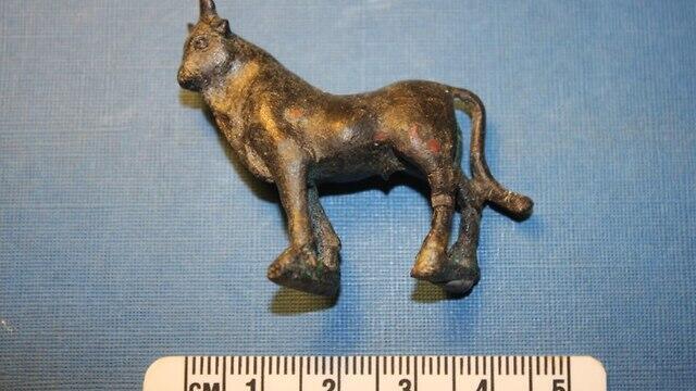 Фигурка быка. Фото: Цвика Цук (צילום: ד"ר צביקה צוק, רשות הטבע והגנים) Фигурка быка. Фото: Цвика Цук