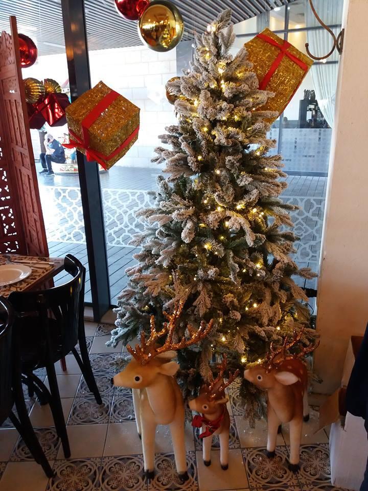 Фото: Анастасия Тадсон (Фото: Анастасия Тадсон) Фото: Анастасия Тадсон