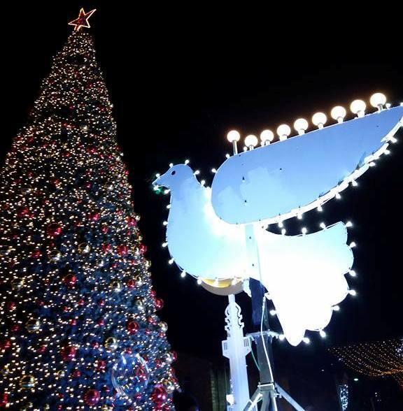 Елка в Хайфе в 2017 году. Фото: Анастасия Тадсон (Фото: Анастасия Тадсон) Елка в Хайфе в 2017 году. Фото: Анастасия Тадсон