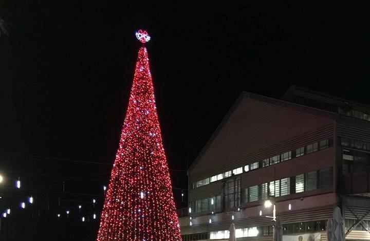 Елка в Яффо несколько лет назад. Фото: Анастасия Тадсон (Фото: Анастасия Тадсон) Елка в Яффо несколько лет назад. Фото: Анастасия Тадсон