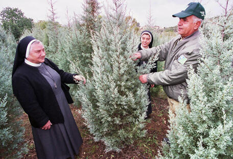 Фото: фонд ККЛ (Фото: фонд ККЛ) Фото: фонд ККЛ