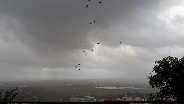 Haevy fog in Haifa (צילום: פרח אפק) Haevy fog in Haifa