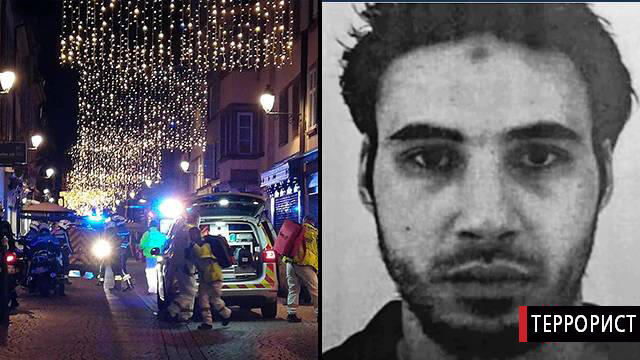 Шариф Шихат. Фото: AFP