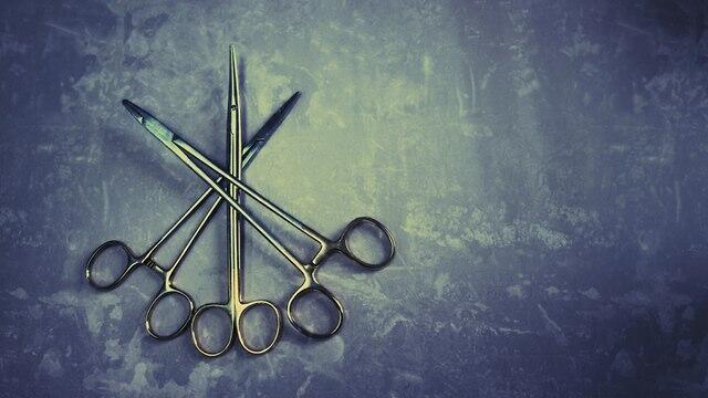 Фото: shutterstock (צילום: שאטרסטוק) Фото: shutterstock