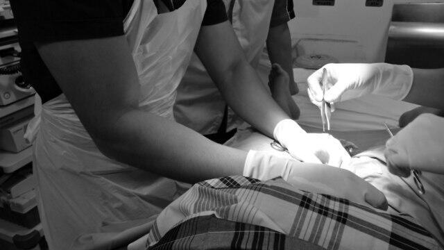 Фото: shutterstock (צילום: שאטרסטוק) Фото: shutterstock