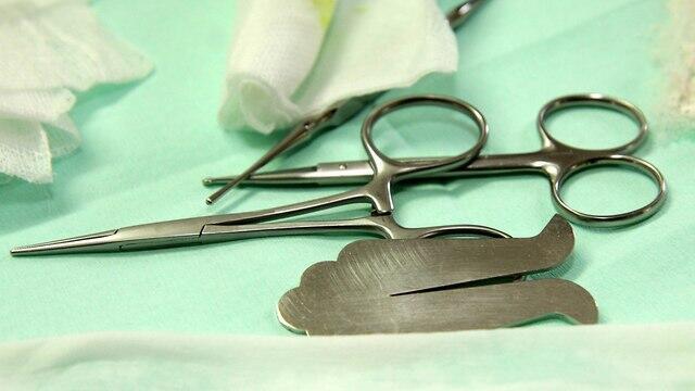 Фото: shutterstock (צילום: שאטרסטוק) Фото: shutterstock