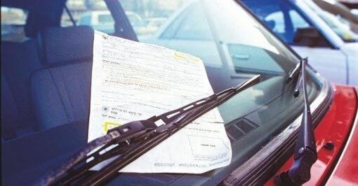 Фото: Шалом Бар-Таль (Фото: Шалом Бар Таль) Фото: Шалом Бар-Таль