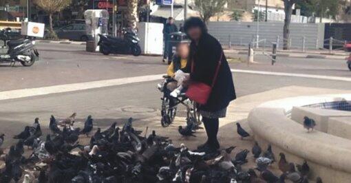 Женщина и ее помощница по уходу во время кормления голубей. Фото: мэрия Холона (Фото: мэрия Холона) Женщина и ее помощница по уходу во время кормления голубей. Фото: мэрия Холона