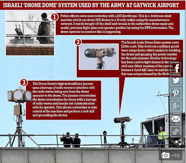 Скриншот с сайта Daily Mail