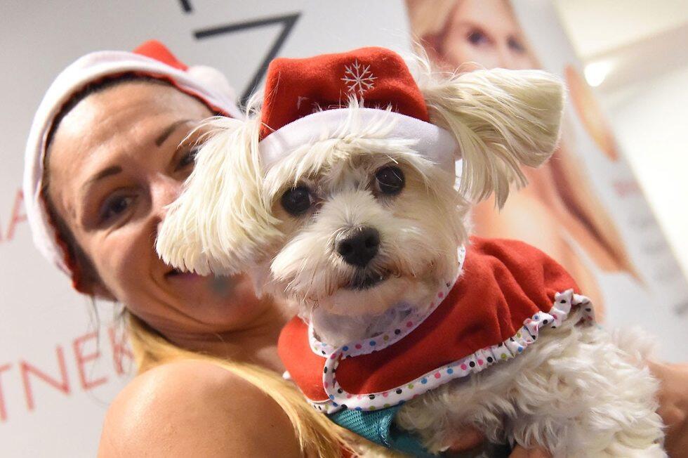 Будапешт. Фото: AFP