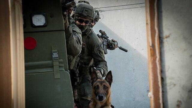 Рембо на учениях