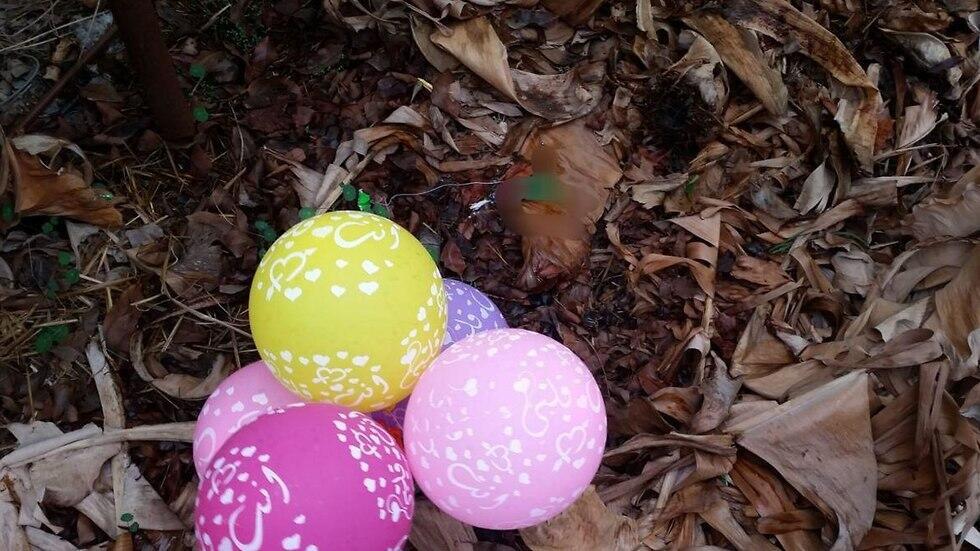 Шары от ХАМАСа. Фото: пресс-служба полиции