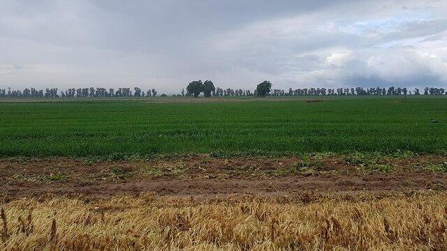 Gaza border communities' farmland (צילום: בראל אפרים) Gaza border communities' farmland