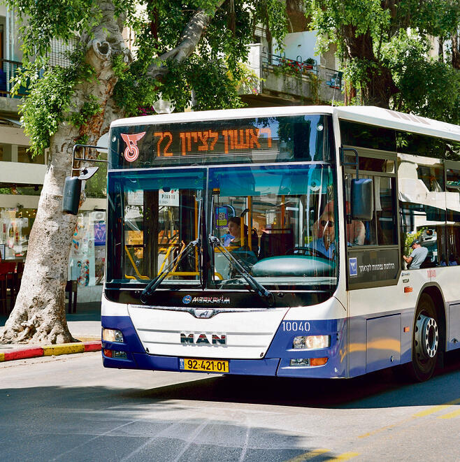 Фото: shutterstock