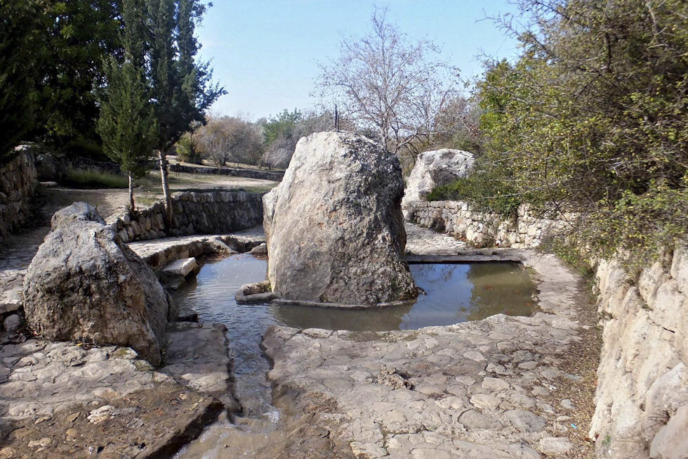 Фото: Леон Левитас