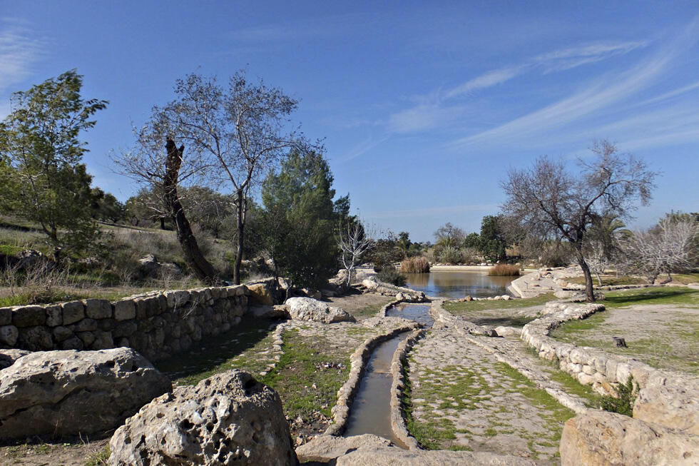 Фото: Леон Левитас