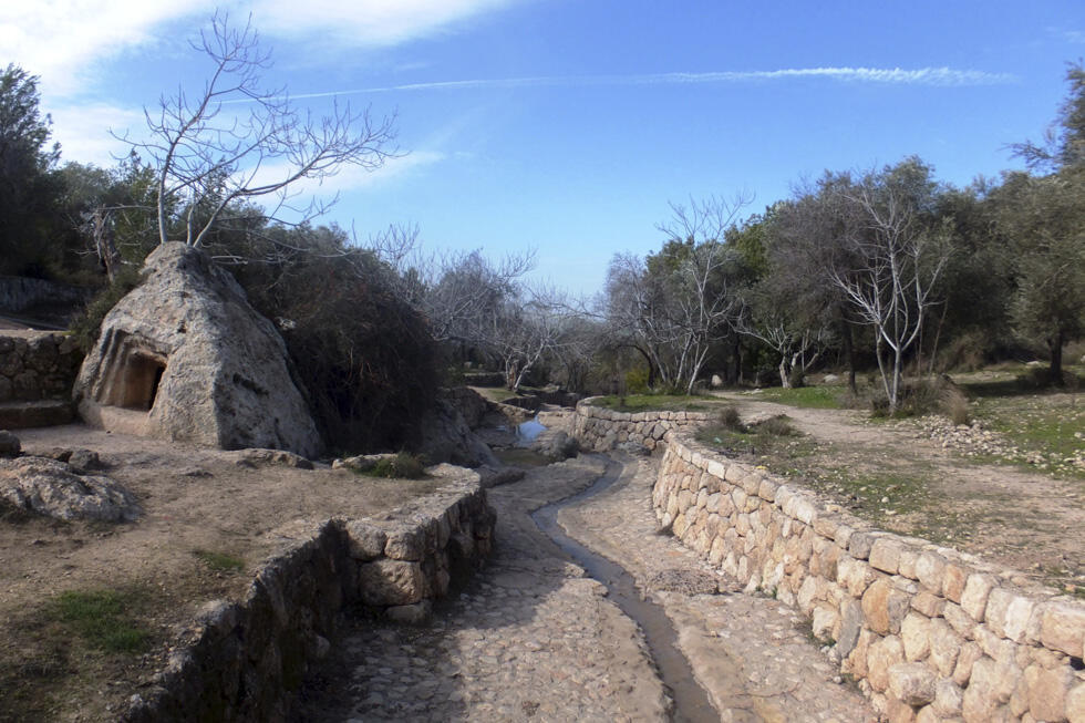 Фото: Леон Левитас