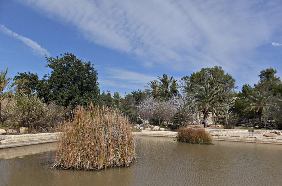 Фото: Леон Левитас