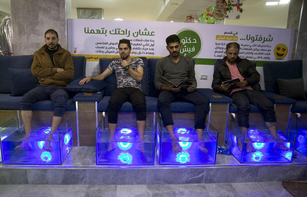 Palestinians soak their feet in tank stocked with fish at a cafe in Gaza City, December 26, 2018 (Photo: Associated Press) Palestinians soak their feet in tank stocked with fish at a cafe in Gaza City, December 26, 2018