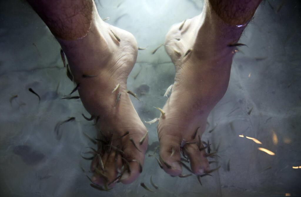 A man soaks his feet in tank stocked with fish at a cafe in Gaza City, December 26, 2018 (Photo: Associated Press) A man soaks his feet in tank stocked with fish at a cafe in Gaza City, December 26, 2018