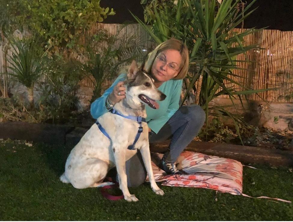 Даниэла и Стелла. Фото: "Эйлат энималс" (Фото: "Эйлат энималс") Даниэла и Стелла. Фото: "Эйлат энималс"