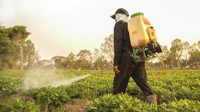 Pesticide use in Israel one of the highest in the world