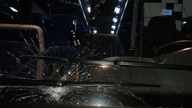 Лобовое стекло автобуса. Фото: TPS