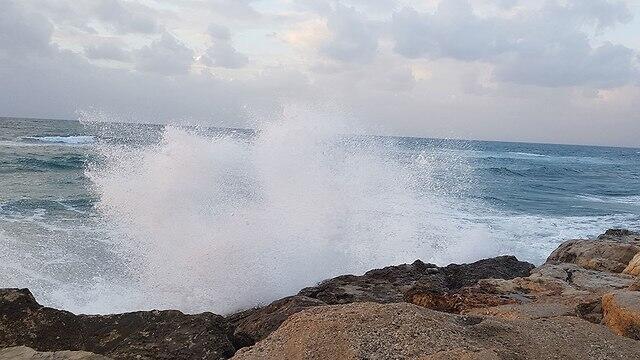 Пляж Гордон в Тель-Авиве. Фото: Шоши Меир (צילום: שושי מאיר ) Пляж Гордон в Тель-Авиве. Фото: Шоши Меир