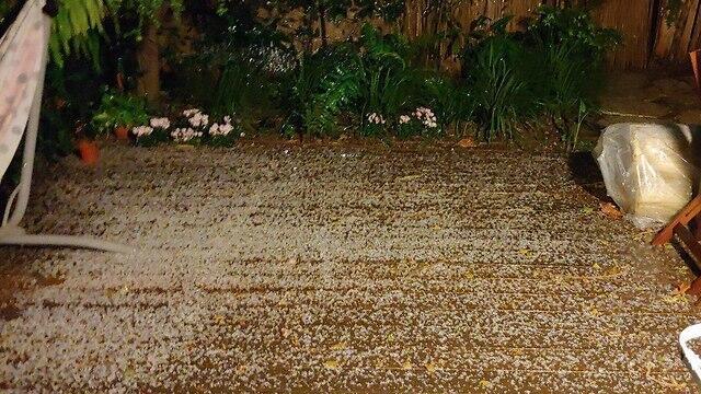 Град в Рамат-Авиве. Фото: Орен Солель