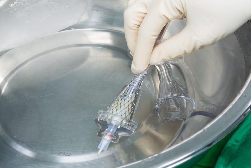 Фото: shutterstock (Фото shutterstock) Фото: shutterstock