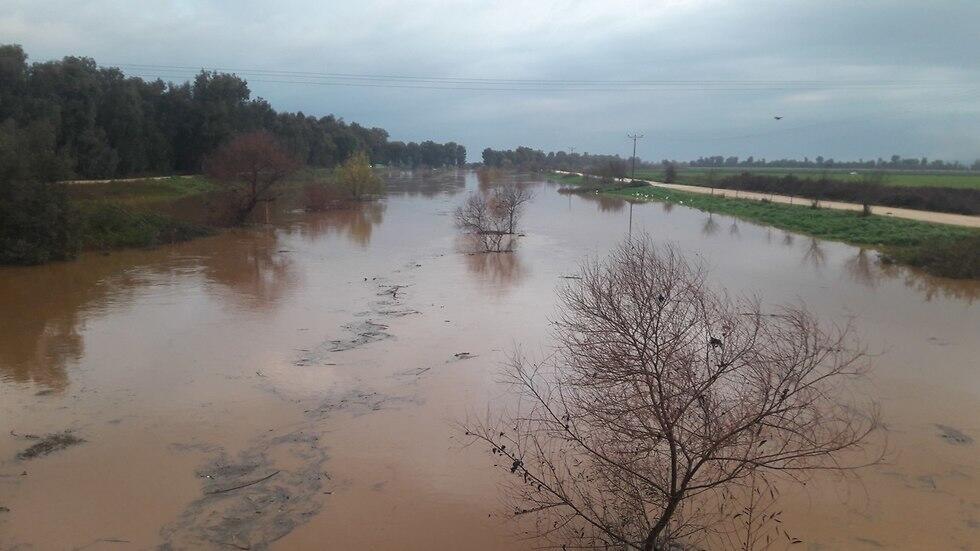 Река Иордан, 8 января. Фото: Игаль Шмидт