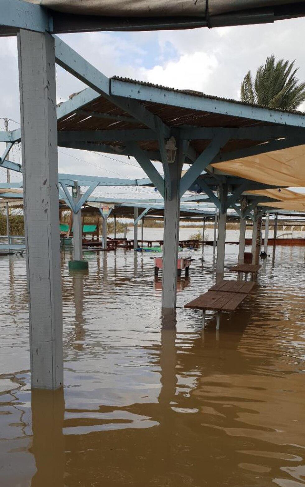Ma'ayan Zvi (צילום: עופר שנער) Ma'ayan Zvi