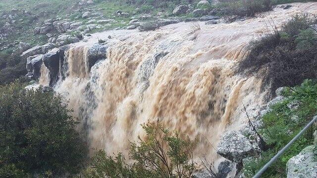 Katzrin Stream ( צילום: עינב בזז, מועצה מקומית קצרין) Katzrin Stream