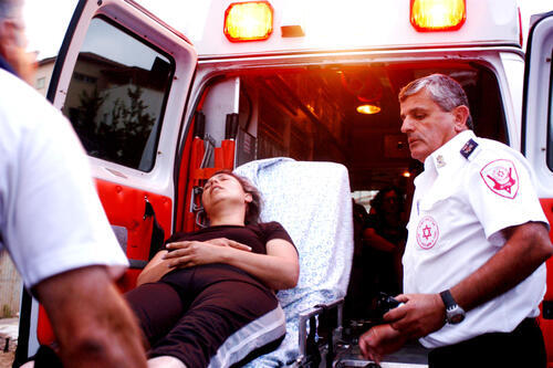 Фото: ChameleonsEye, shutterstock