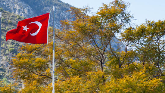 דגל קפריסין הטורקית לצד דגל טורקיה