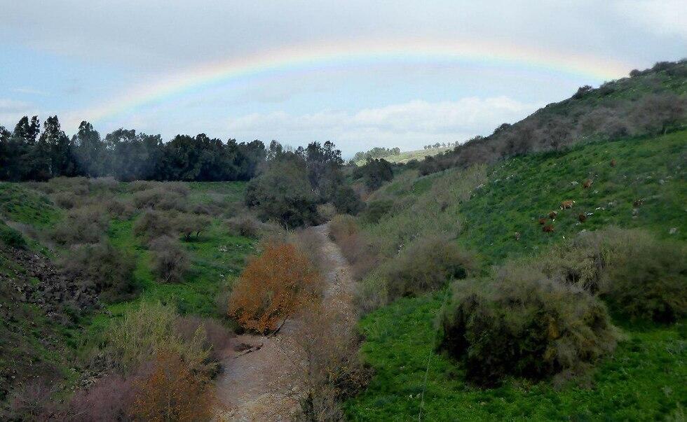 Радуга в Иорданской долине. Фото: Тельма Лапид