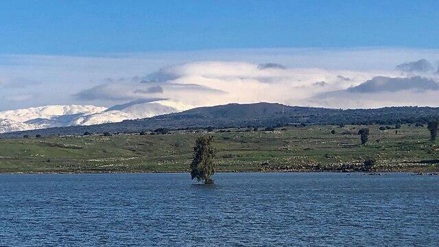 Резервуар на севере Голанских высот. Фото: Шай Лави