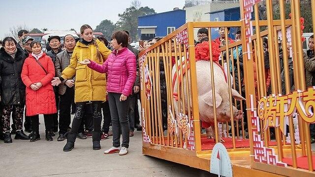 Народ любуется на "короля"nullnull Народ любуется на "короля"